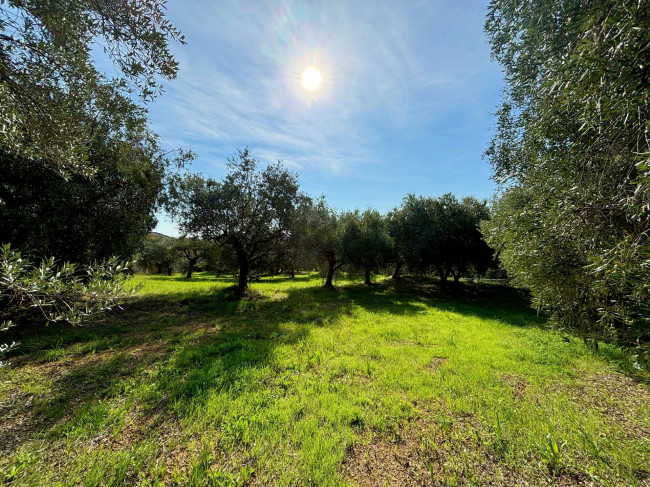 Terreno agricolo in vendita a Grottammare (AP)