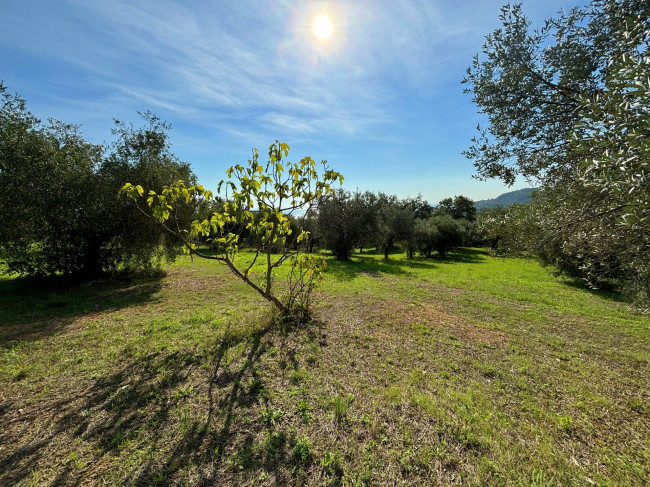 Terreno agricolo in vendita a Grottammare (AP)