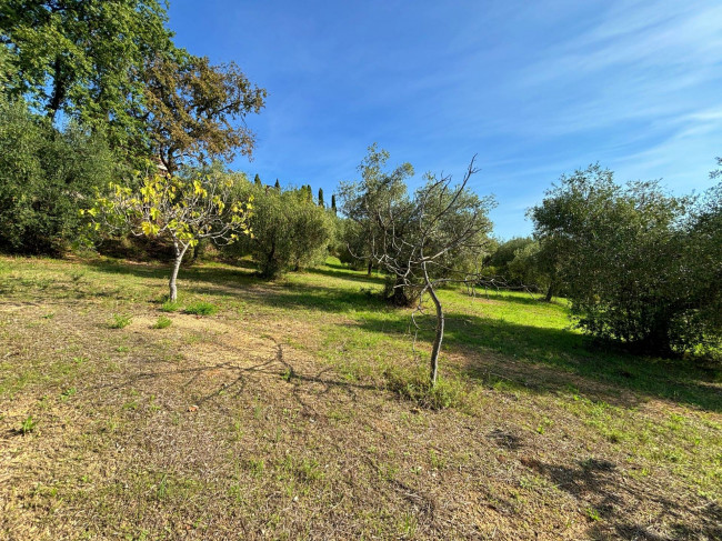 Terreno agricolo in vendita a Grottammare (AP)