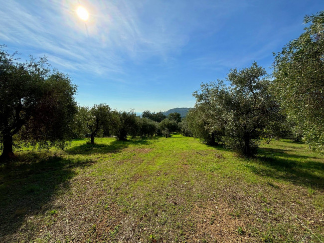 Terreno agricolo in vendita a Grottammare (AP)