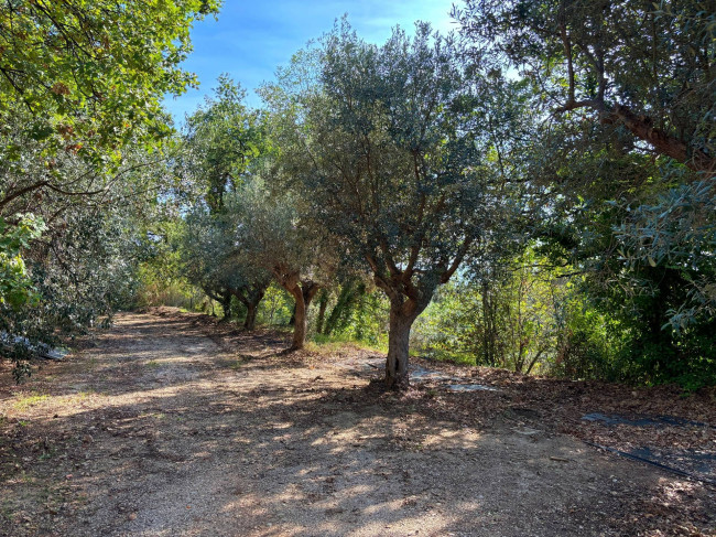 Terreno agricolo in vendita a Grottammare (AP)