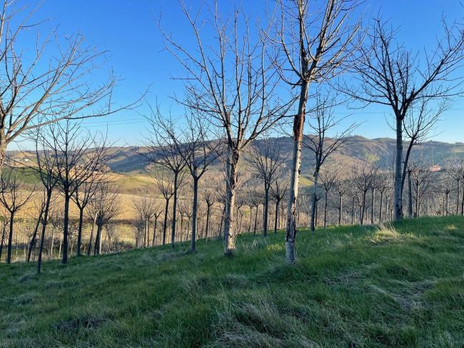 Casa singola in vendita a Castignano
