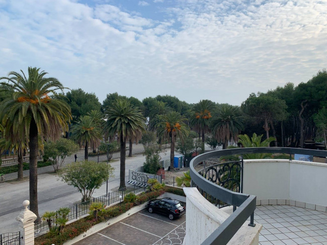 Appartamento in affitto a San Benedetto del Tronto