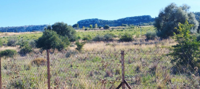 Terreno agricolo in vendita a Siracusa (SR)