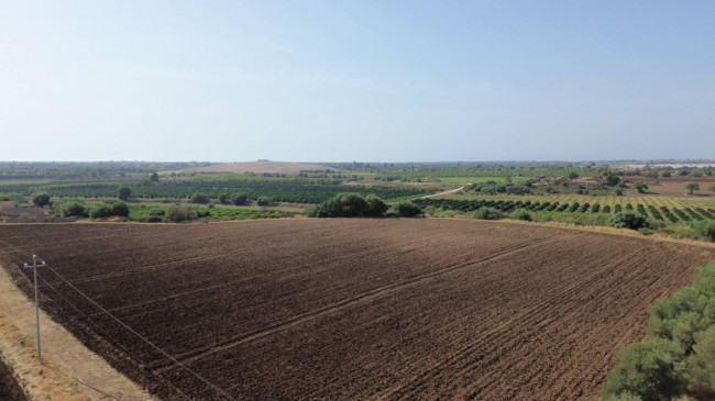 Terreno agricolo in vendita a Siracusa (SR)