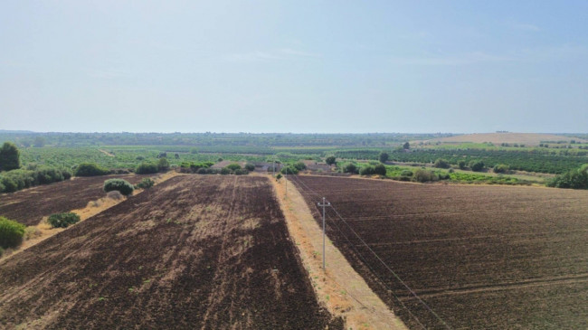 Terreno agricolo in vendita a Siracusa (SR)