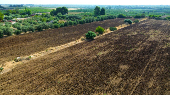 Terreno agricolo in vendita a Siracusa (SR)