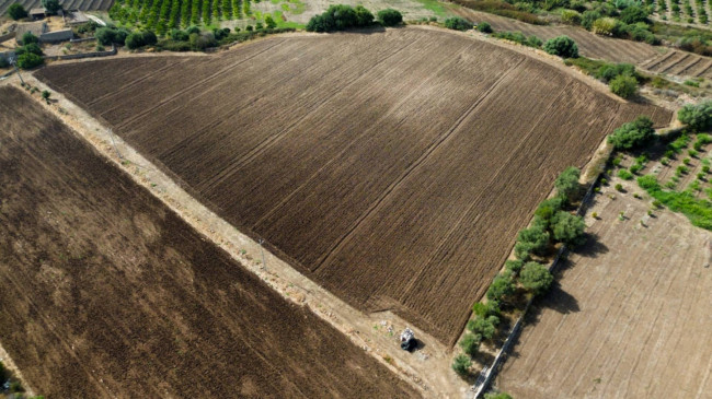 Terreno agricolo in vendita a Siracusa (SR)