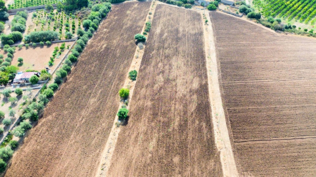 Terreno agricolo in vendita a Siracusa (SR)