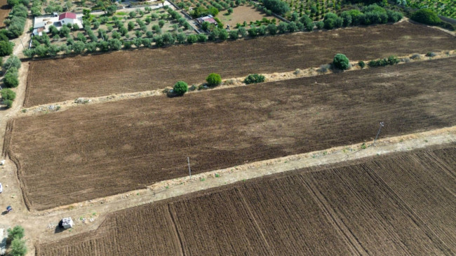 Terreno agricolo in vendita a Siracusa (SR)