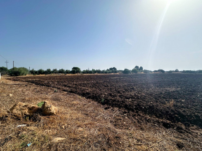 Terreno agricolo in vendita a Siracusa (SR)