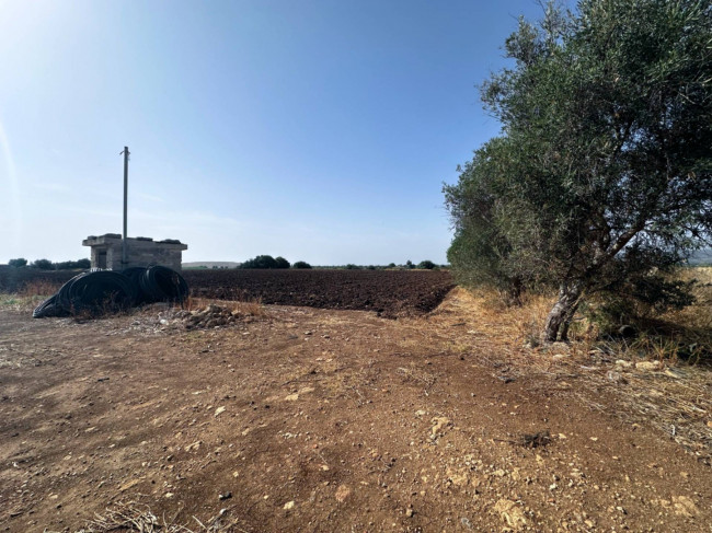 Terreno agricolo in vendita a Siracusa (SR)