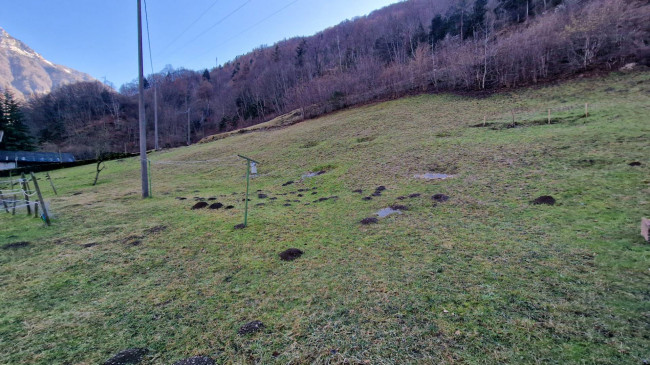 Porzione di Casa in vendita a Longarone