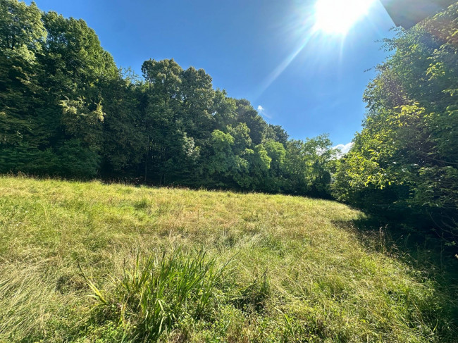 Villa in vendita a Borgo Valbelluna