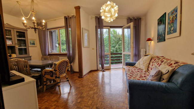 Appartamento in vendita a Pieve di Cadore