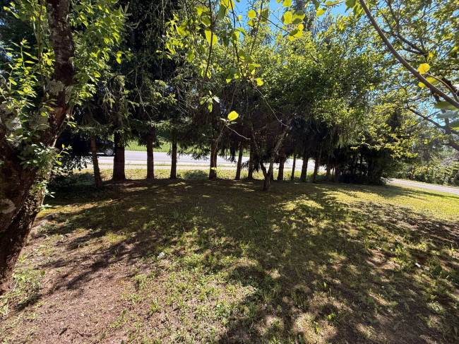 Porzione di Casa in vendita a Borgo Valbelluna