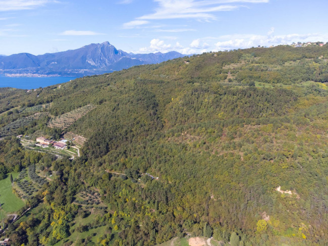 Terreno Agricolo in vendita a Costermano