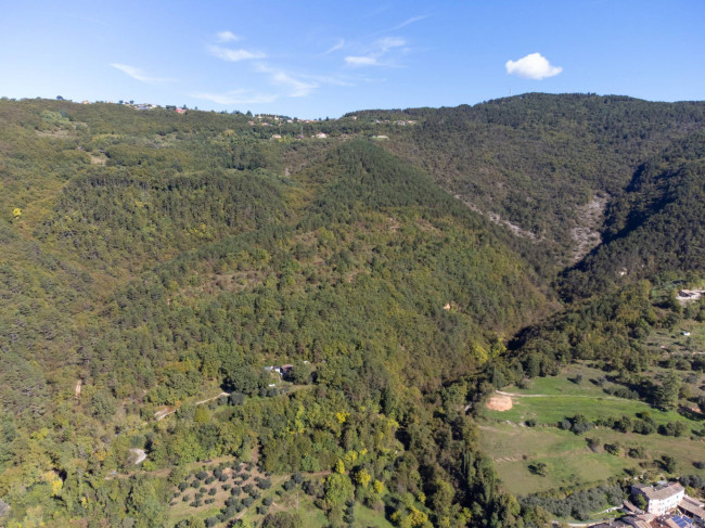 Terreno Agricolo in vendita a Costermano