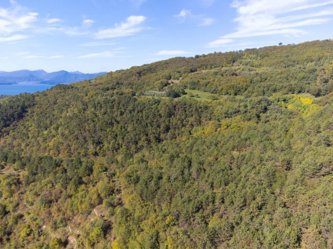 Terreno Agricolo in vendita a Costermano