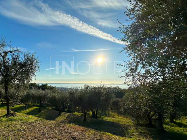  zu verkauf in Bardolino