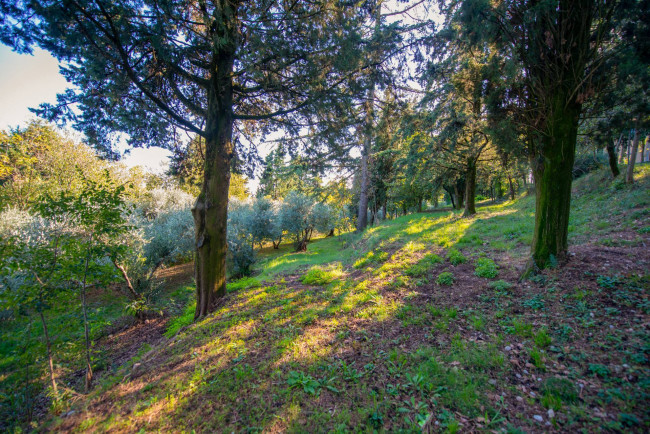 Operazione Immobiliare in vendita a Bussolengo