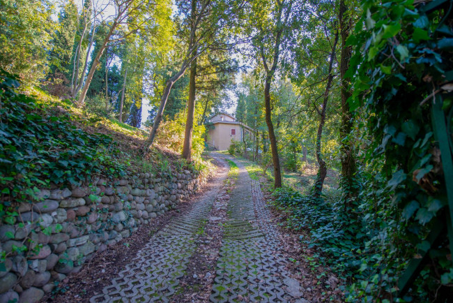 Operazione Immobiliare in vendita a Bussolengo