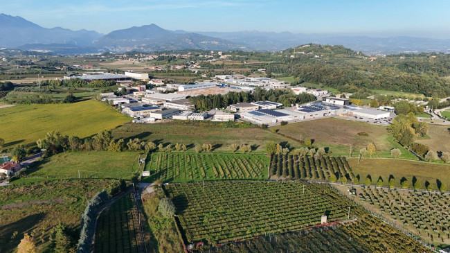 Terreno Agricolo in vendita a Pastrengo