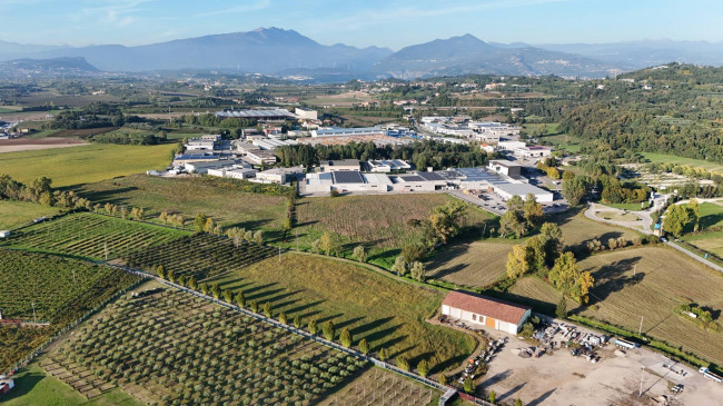 Terreno Agricolo in vendita a Pastrengo
