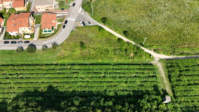  for sale in Cavaion Veronese