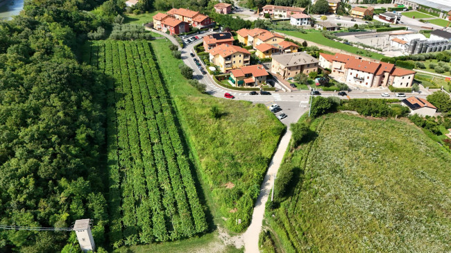  for sale in Cavaion Veronese