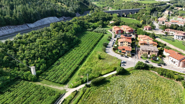  for sale in Cavaion Veronese