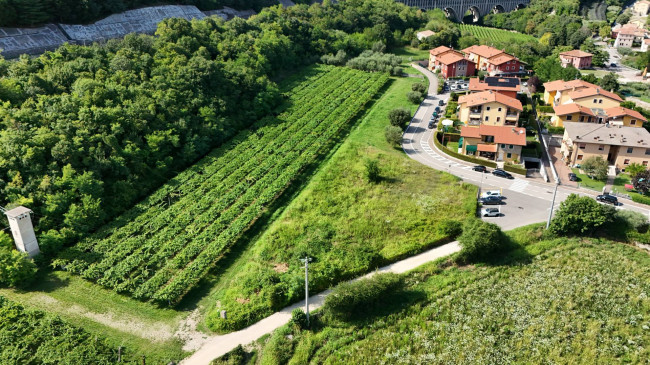  for sale in Cavaion Veronese