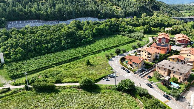 for sale in Cavaion Veronese