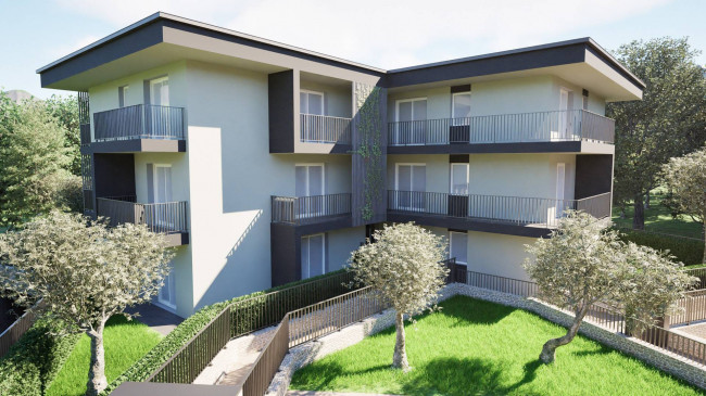  for sale in Cavaion Veronese