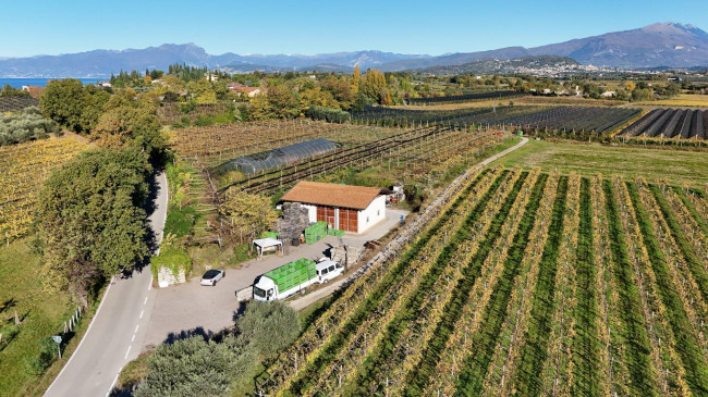 Terreno Agricolo in vendita a Lazise