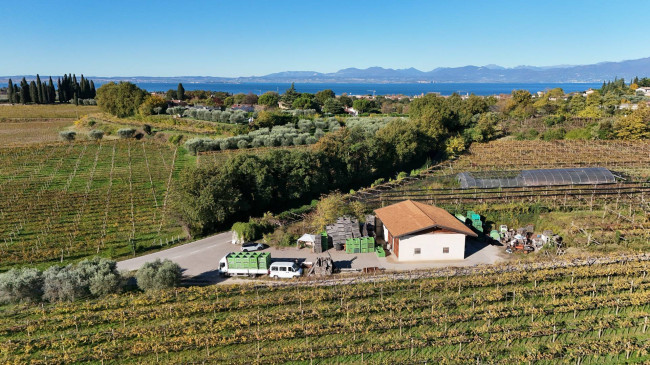 Terreno Agricolo in vendita a Lazise