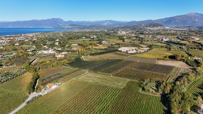 Terreno Agricolo in vendita a Lazise