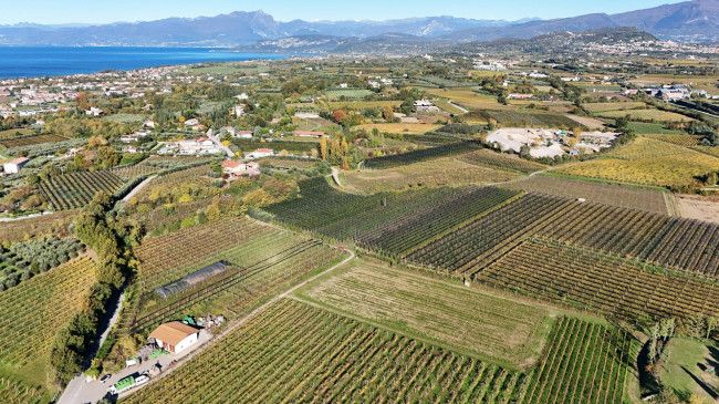 Terreno Agricolo in vendita a Lazise