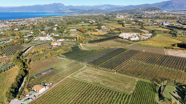 Terreno Agricolo in vendita a Lazise