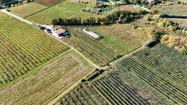 Terreno Agricolo in vendita a Lazise