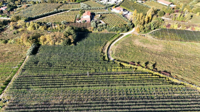 Terreno Agricolo in vendita a Lazise