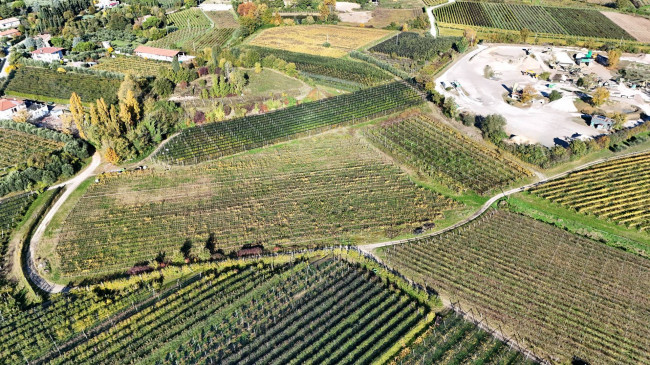 Terreno Agricolo in vendita a Lazise