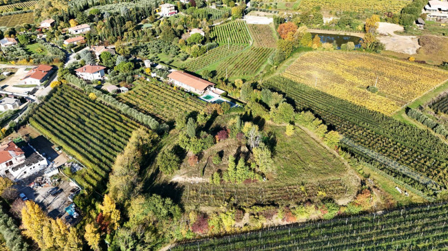 Terreno Agricolo in vendita a Lazise