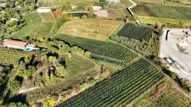 Terreno Agricolo in vendita a Lazise