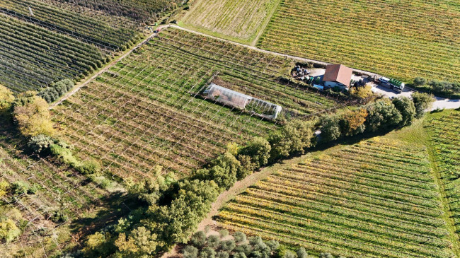 Terreno Agricolo in vendita a Lazise