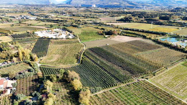 Terreno Agricolo in vendita a Lazise