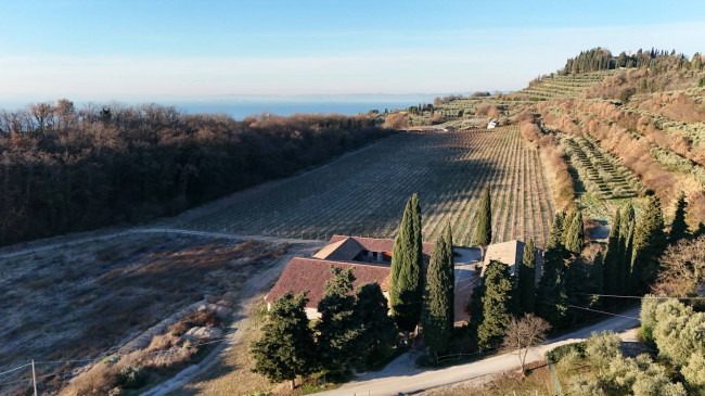  zu verkauf in Bardolino