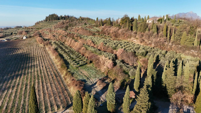  zu verkauf in Bardolino