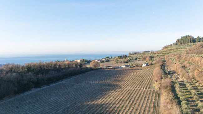  zu verkauf in Bardolino