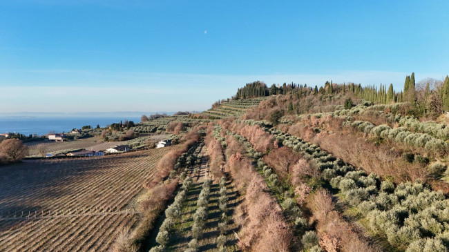  zu verkauf in Bardolino